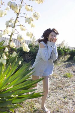 公翁大龟挺进我的小